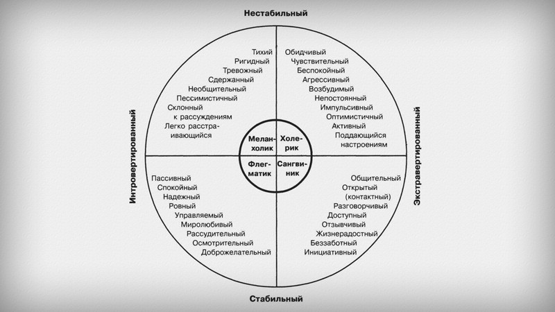 тип темперамента