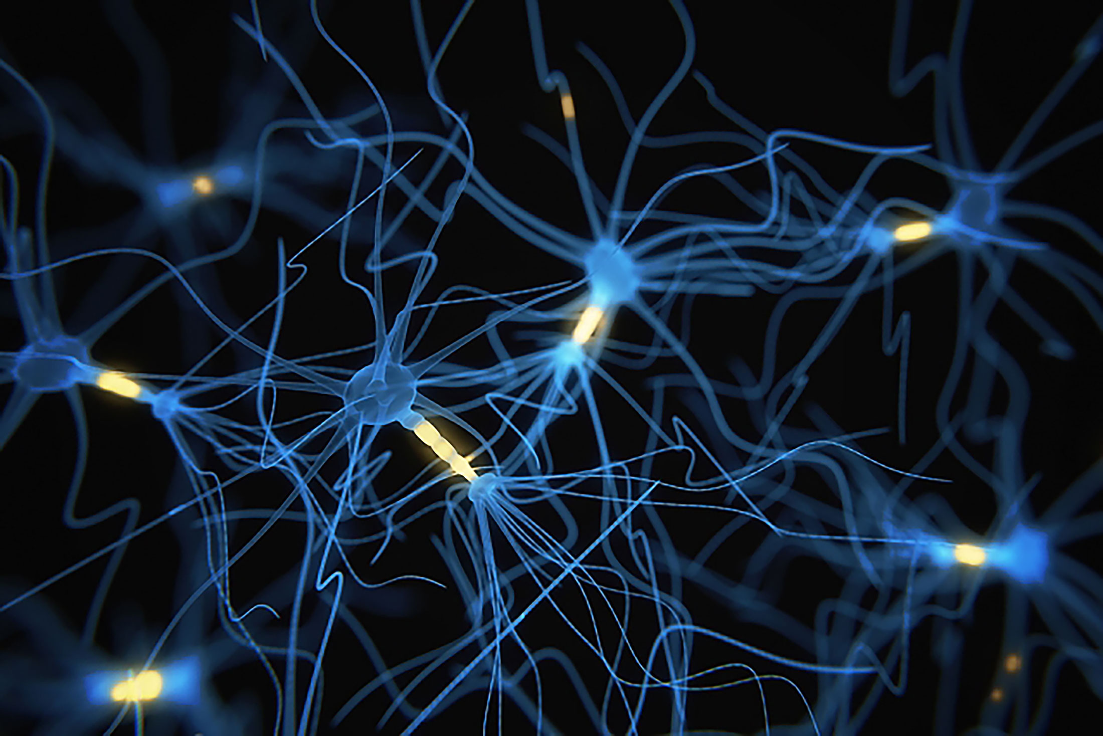 Как создать нейронную связь. Нейронная система. Нервная система Нейрон. Нейрон нейросети. Нейрон в нейронной сети.