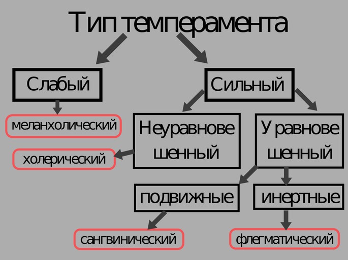 Типы темперамента по Павлову