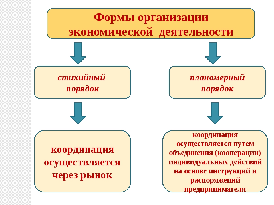 Виды экономической организации. Формы организации экономической деятельности. Формы организации хозяйственной деятельности. Форма организации хозяйственной деятельности организации. Формы организации экономической деятельности фирм.