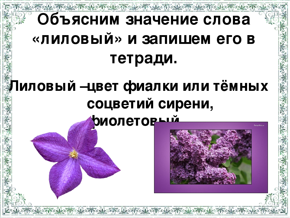 В цвету значение. Предложение со словом лиловый. Русский язык оттенки фиолетового. Синоним к слову лиловый. Что обозначает лиловый.