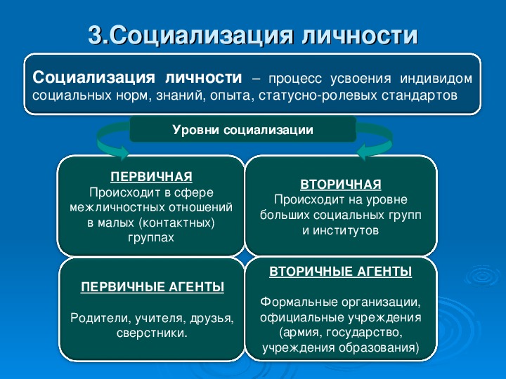 От чего по мнению автора зависит социализация в содержательном и формальном плане что автор считает