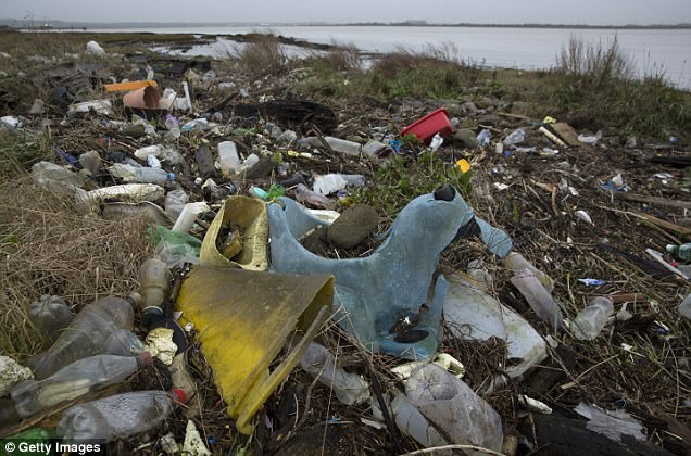 Plastic and other detritus line the shore of the Thames Estuary in Cliffe, in Kent, which is harming wildlife and can also find its way into the human food chain