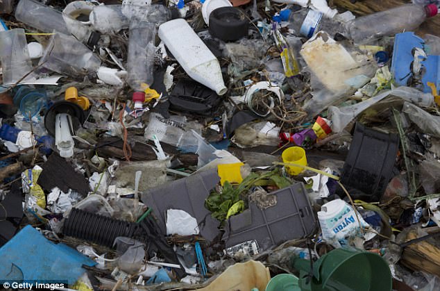 Plastic litter clogs waterways and injures and kills marine animals who become trapped or swallow the human detritus