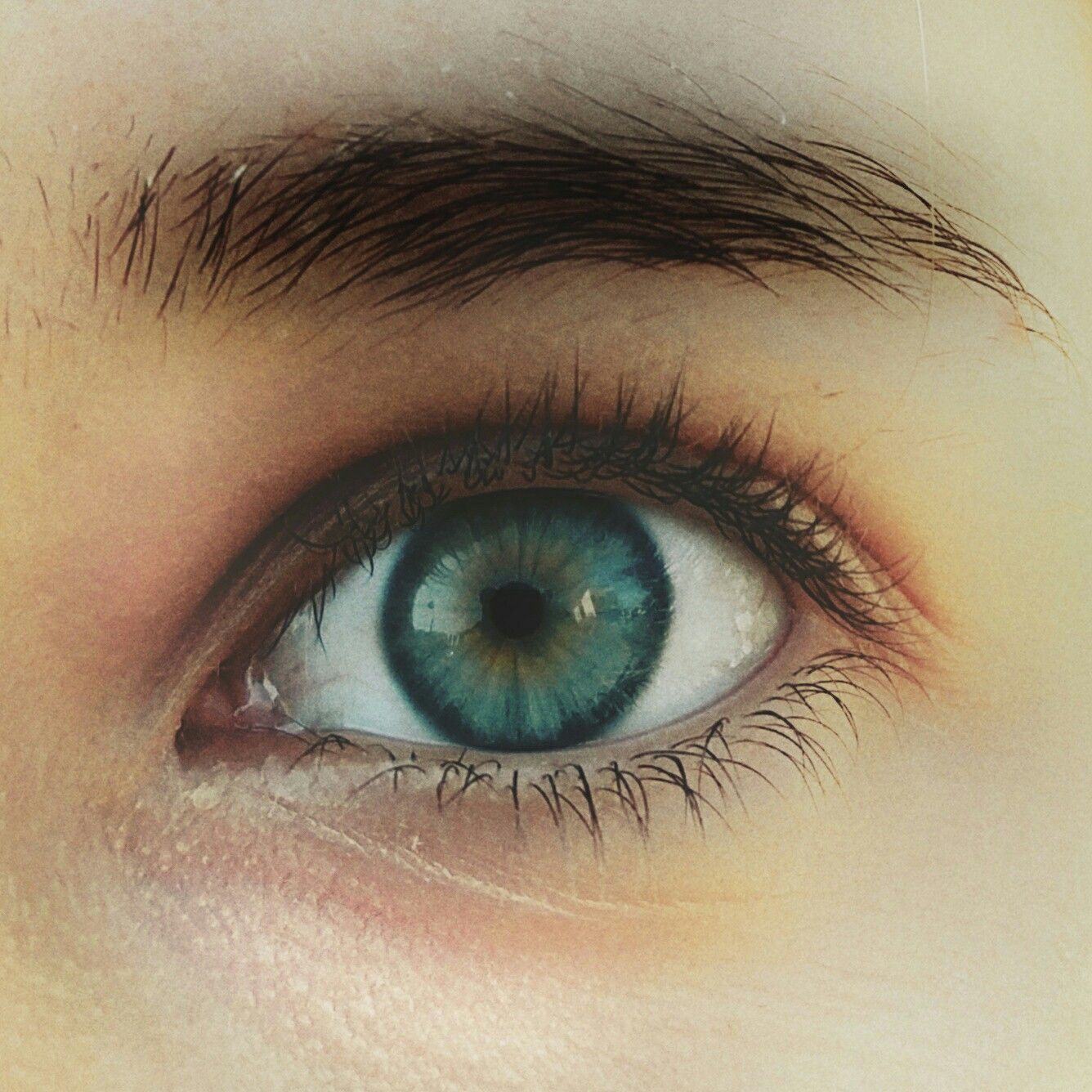 Глаза цвета вереска фото