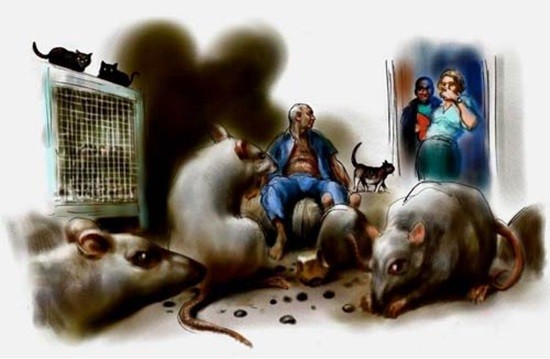 Человек, живущий среди тысяч крыс