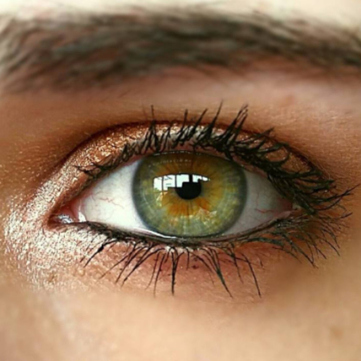 Серо-каре-зеленые глаза