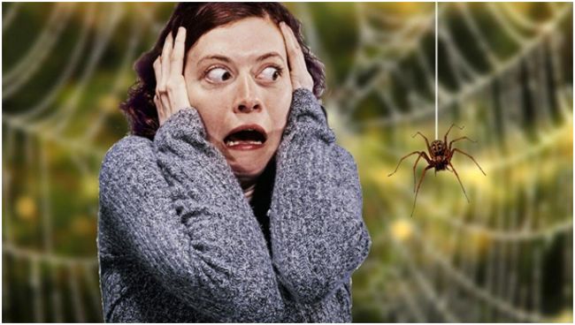 девушка, сходящая с ума от вида пауков