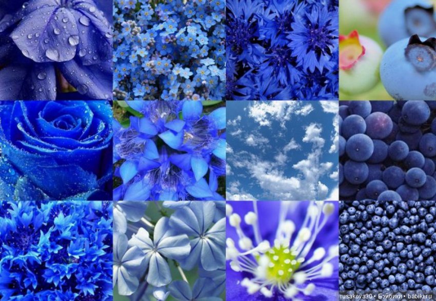 Виды голубого. Природа с синим оттенком. Синий и голубой цвет. Синий цвет коллаж. Синий цвет ассоциации.