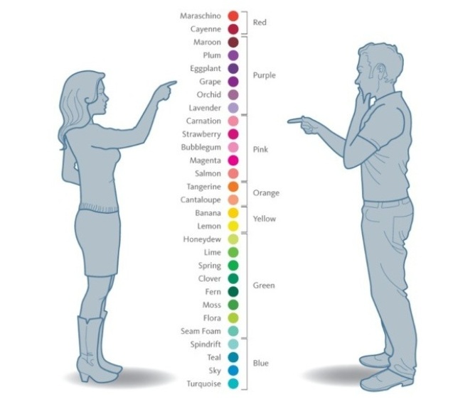 Мужчины и женщины видят цвета по-разному